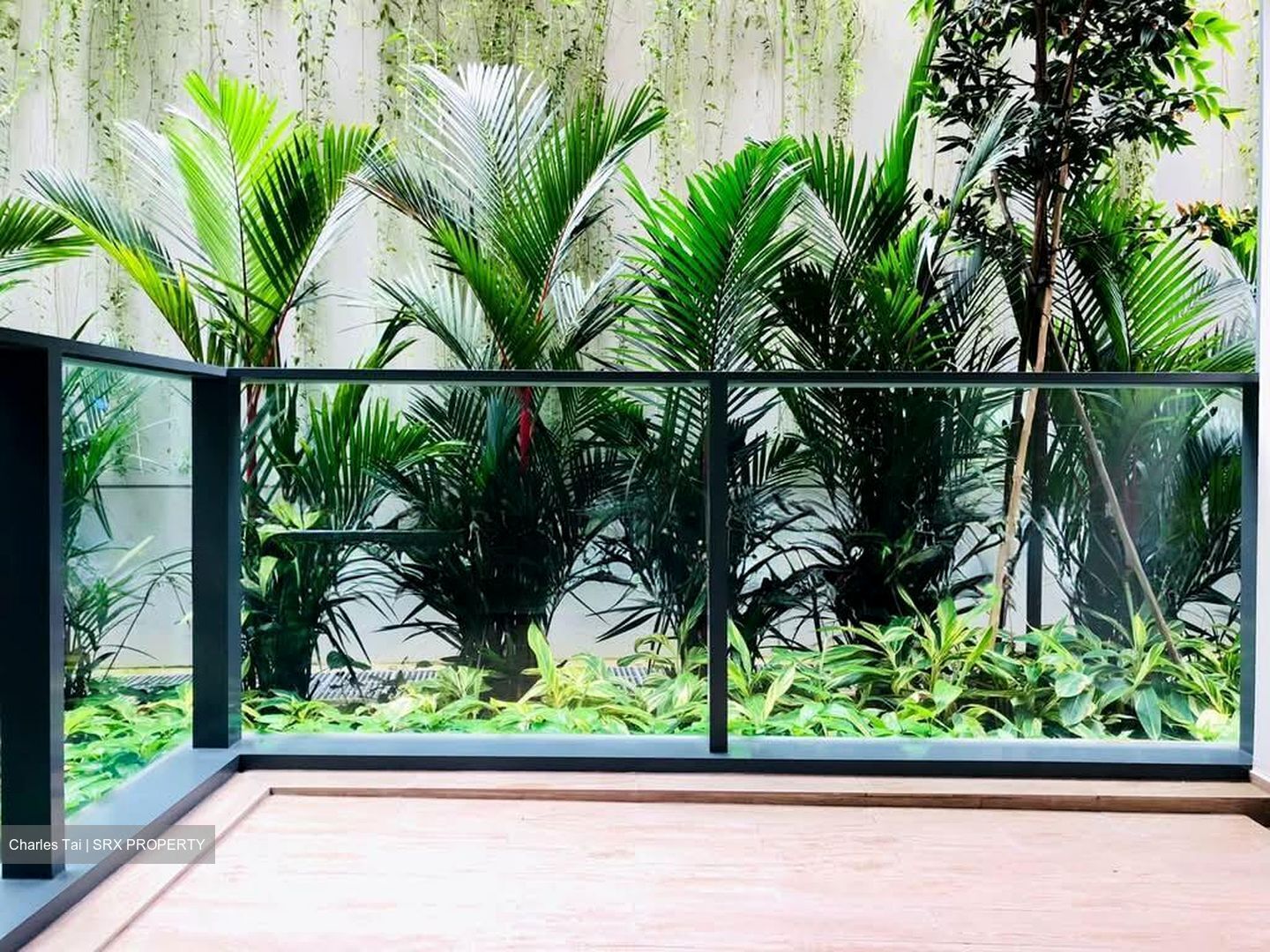 Mount Sophia (D9), Condominium #556737531